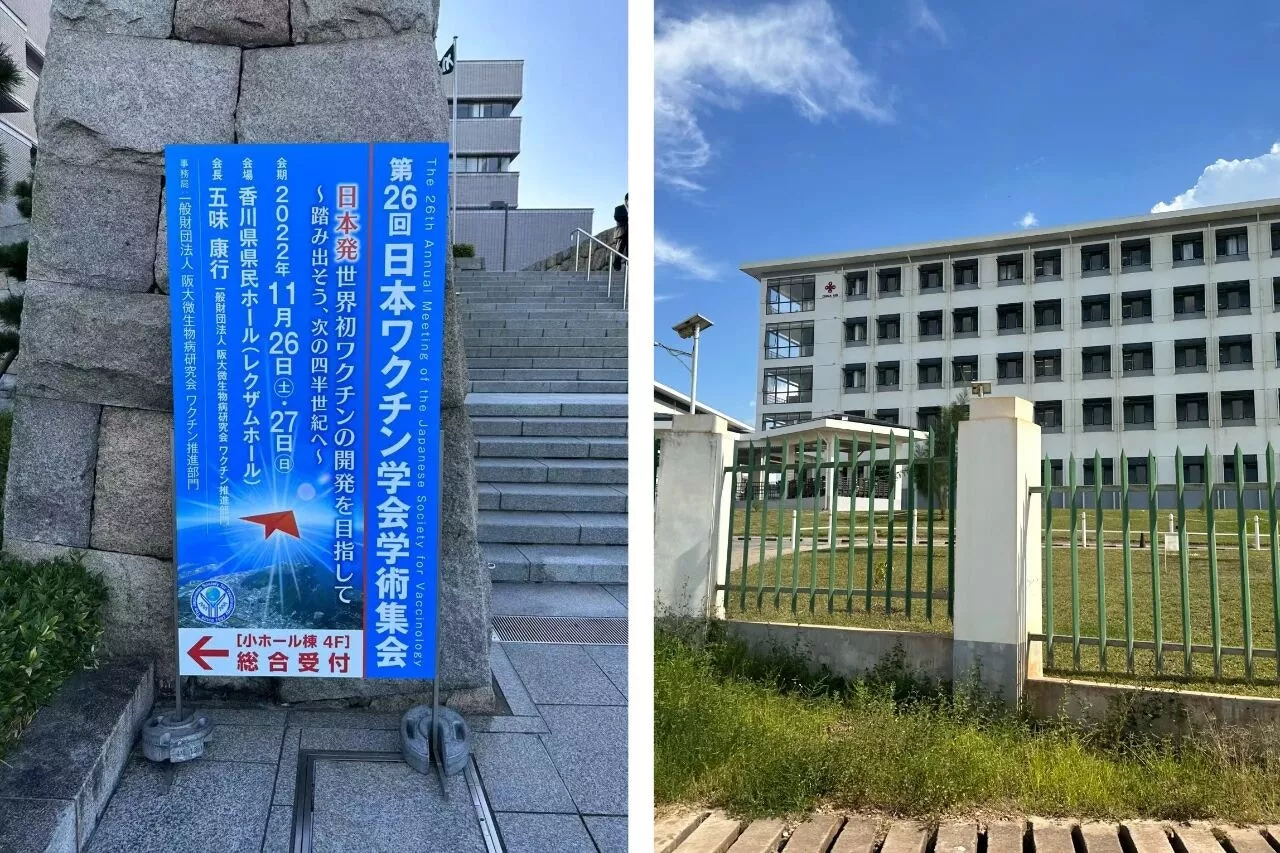 “上岸了”，5位中国年轻人在国外做公务员